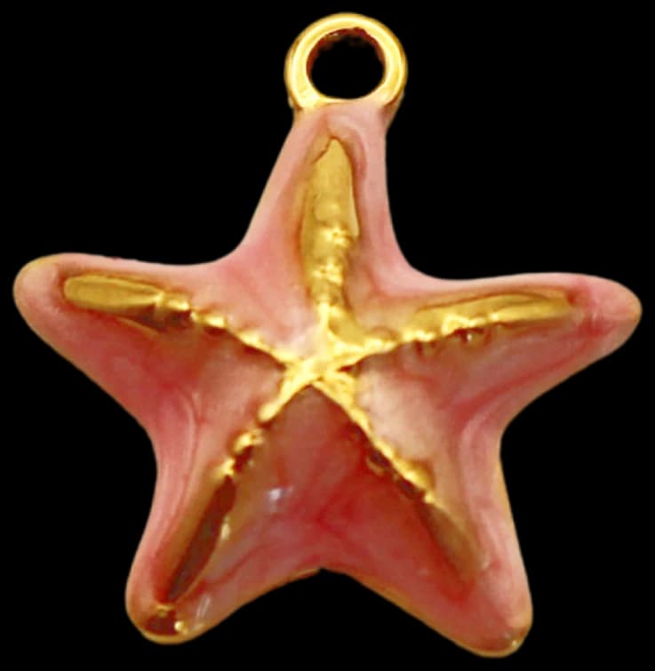 Starfish Rose