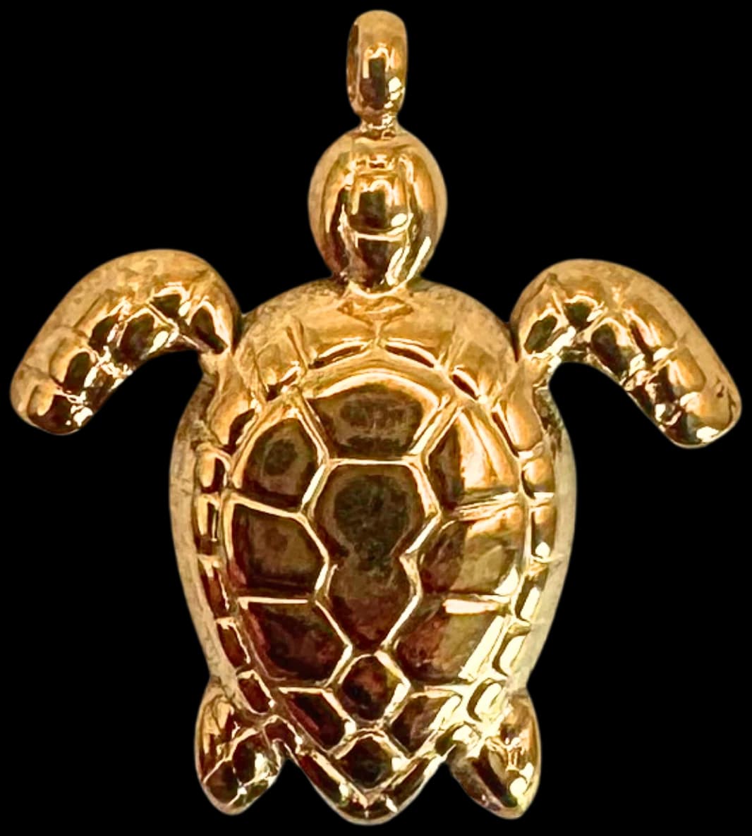 Tortue De Mer Or